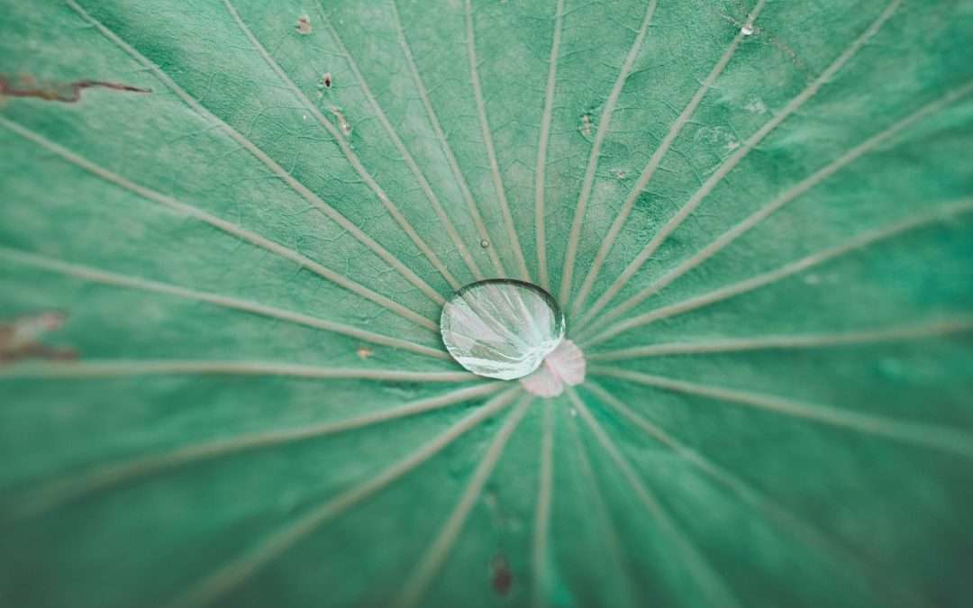 Improving Vein Health with Sclerotherapy